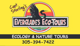 Logo for Everglades Eco-Tours with a bird silhouette and contact info.