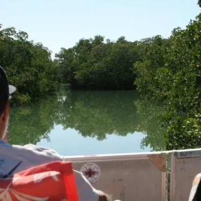 Two people on a boat view a calm river surrounded by dense green mangroves.