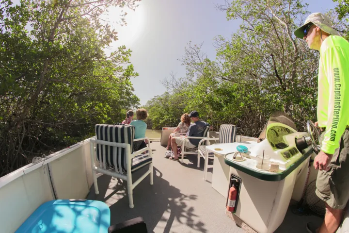 People sitting on a boat with chairs, surrounded by trees under a clear sky.
